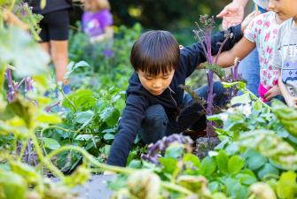 Children discovering the garden & plants