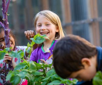 Primary student learning outdoors garden