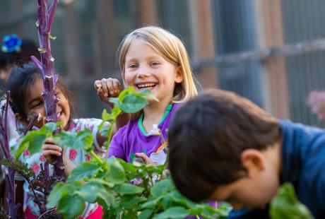 Primary student learning outdoors garden