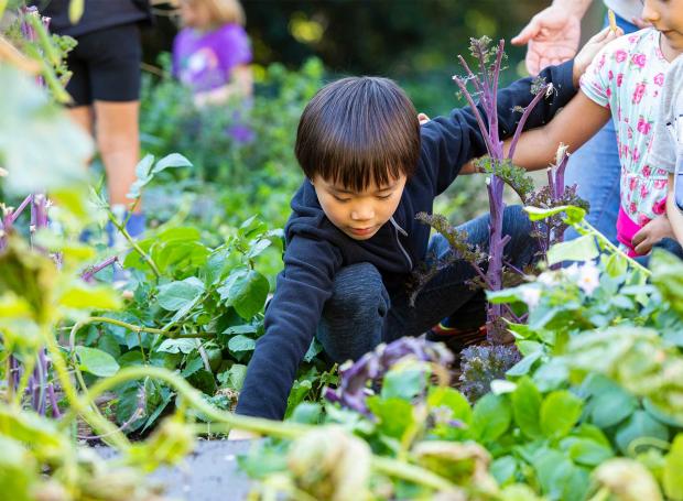 Children discovering the garden & plants